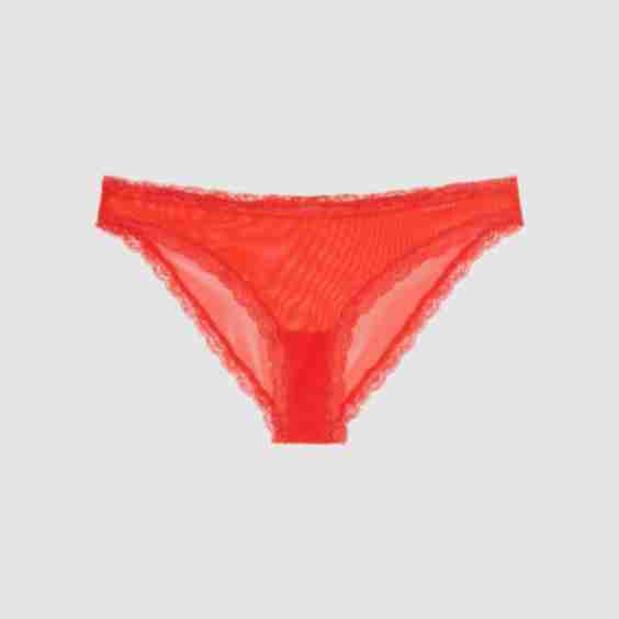Mesh Lace Trim Bikini Briefs 
