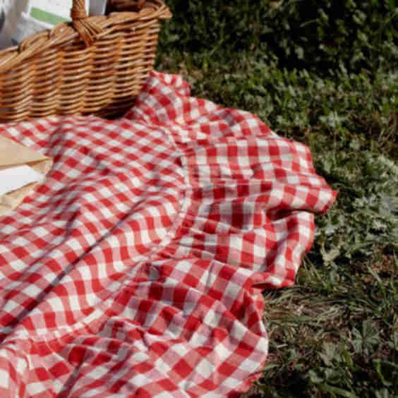 Ruffle Gingham Tablecloth