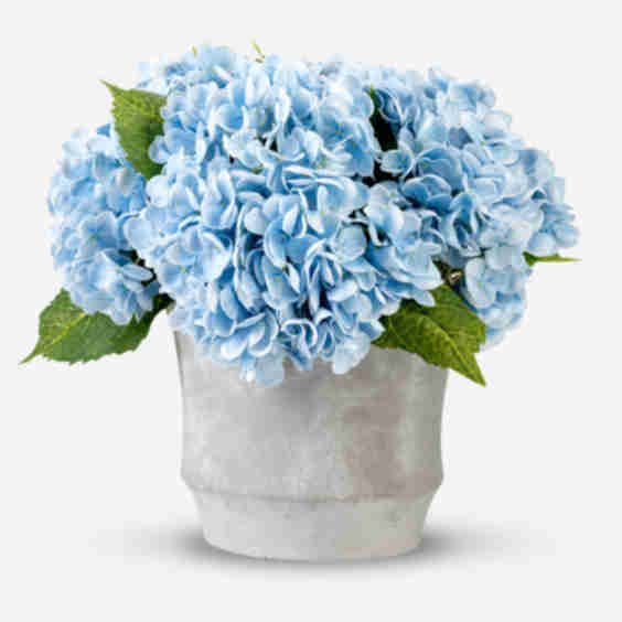 Ryann Realtouch Hydrangea Arrangement Flower