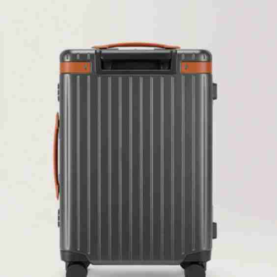 The Large Carry-On Suitcase