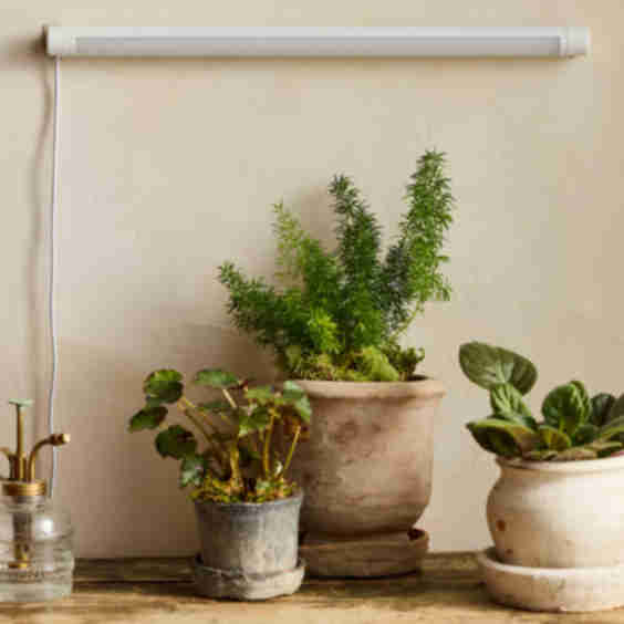 LED Bar Grow Light