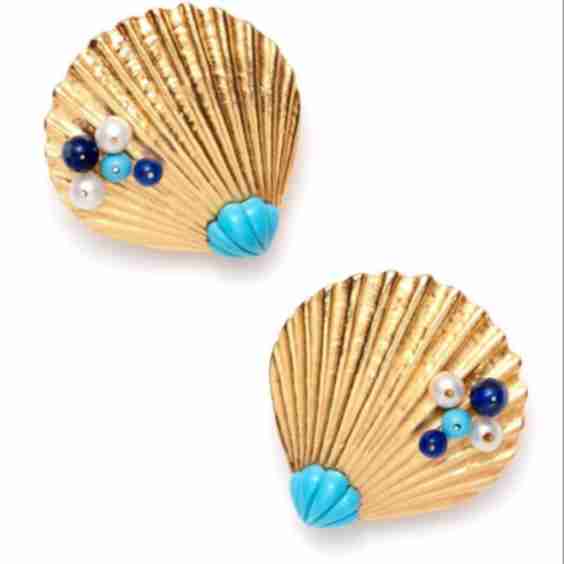 Venus Shell Earring  