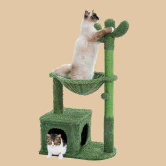Cactus 4 in 1 Sisal-Wrapped Cat Scratcher Tower