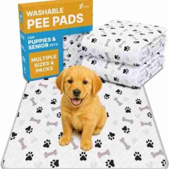 Printed Reusable Cat & Dog Pee Pads