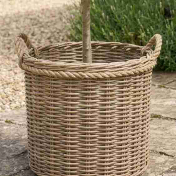 Wicker and Rope Basket Planters