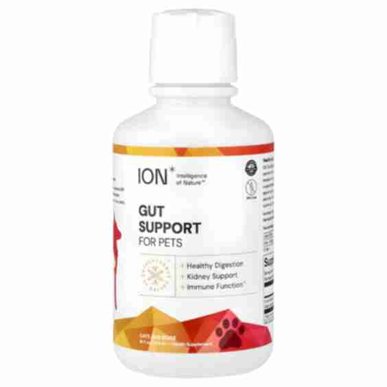 Gut Support Supplement for Pets