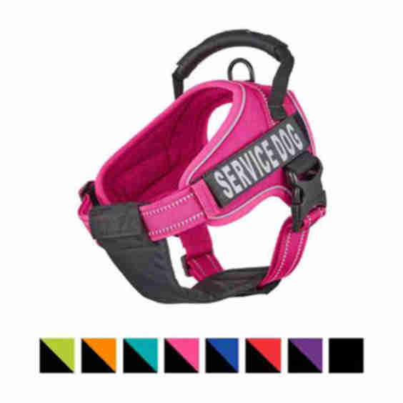 Service Dog Harness Fuchsia