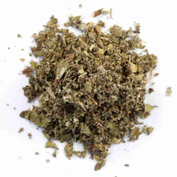 Raspberry Leaf Organic