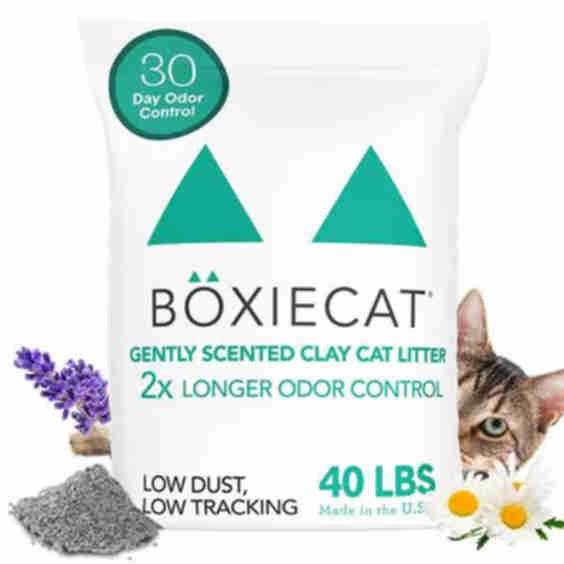 Gently Scented Premium Clumping Clay Cat Litter  