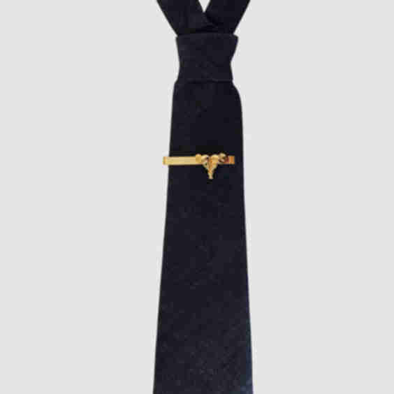 Denim Petite Necktie + Tie Bar