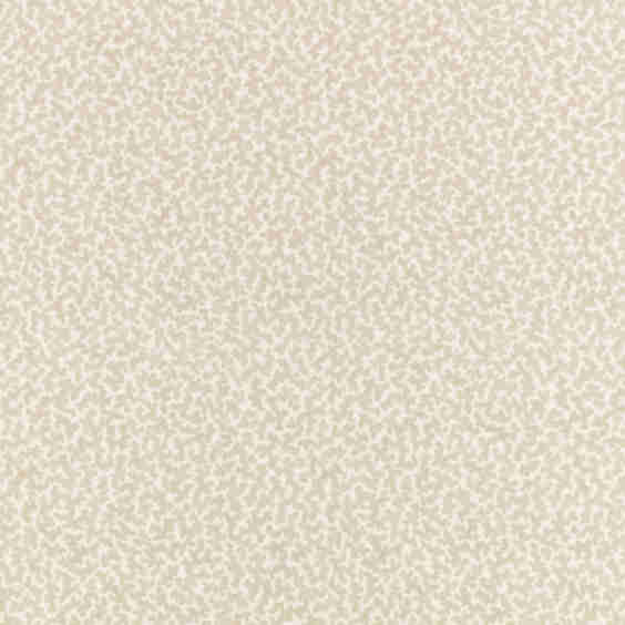 Junie Almond Print