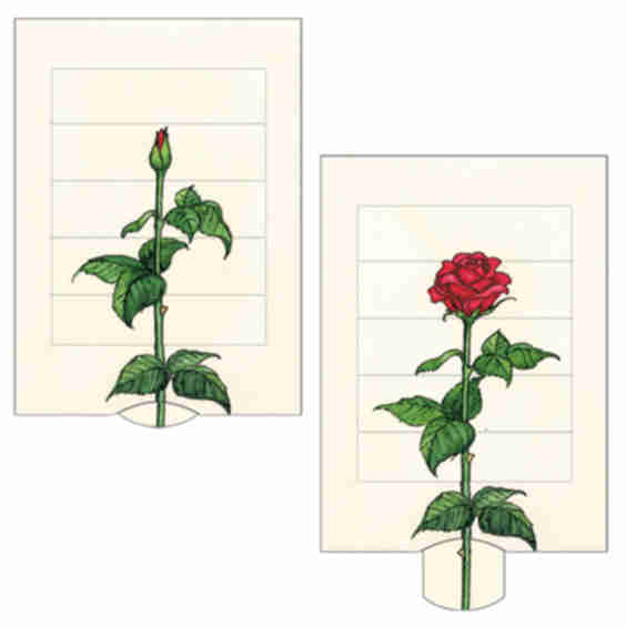 Living Card Rose