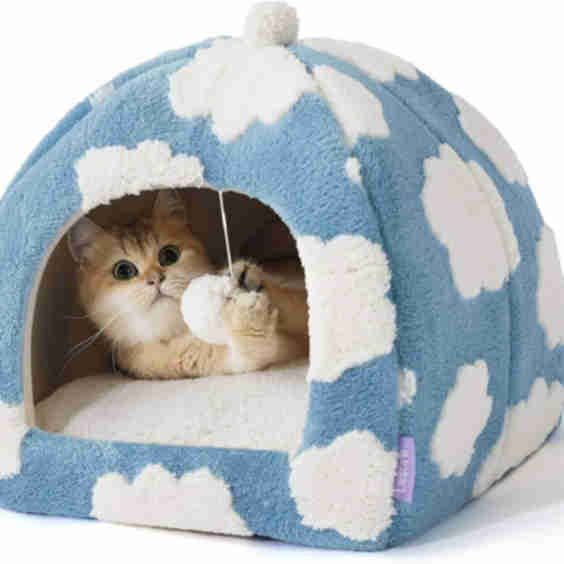 2-in-1 Cat Cave Bed, Large