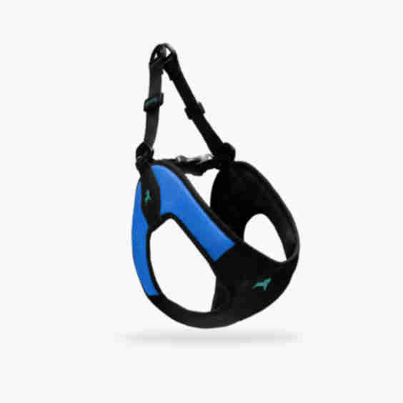 Escape Free Easy Fit Harness Medium: 16 to 19.75-in Chest