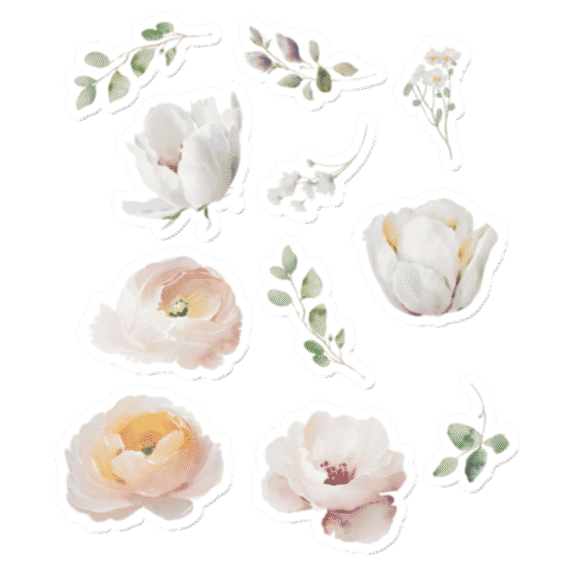 Bloom Flowers