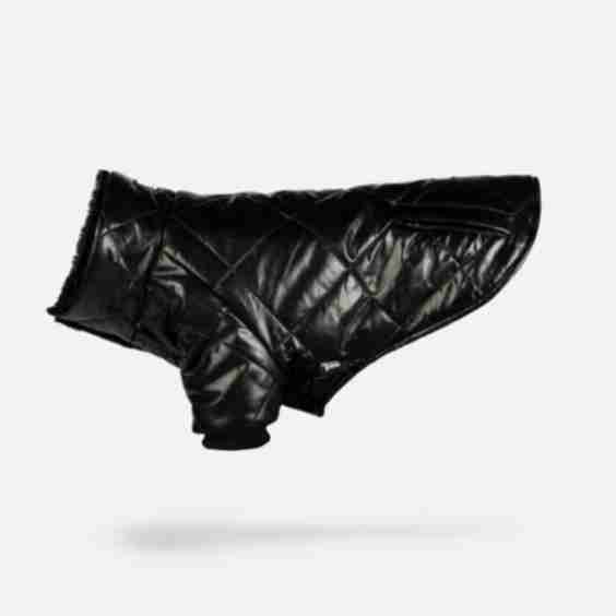 Phoenix Dog Quilted Puffer Jacket