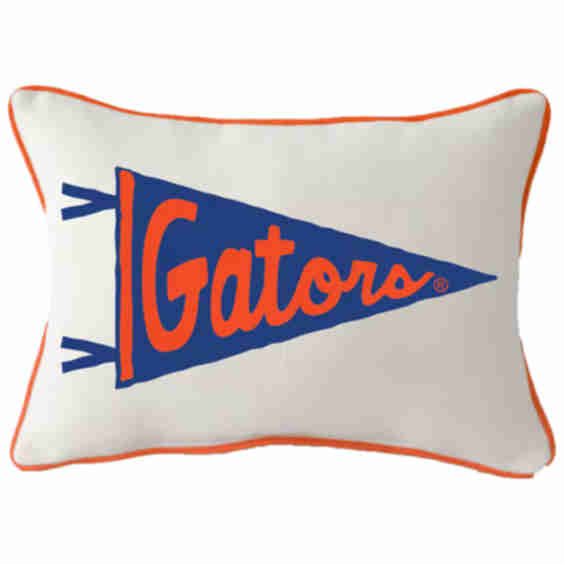 Little Birdie Pennant Rectangular Piped Pillow