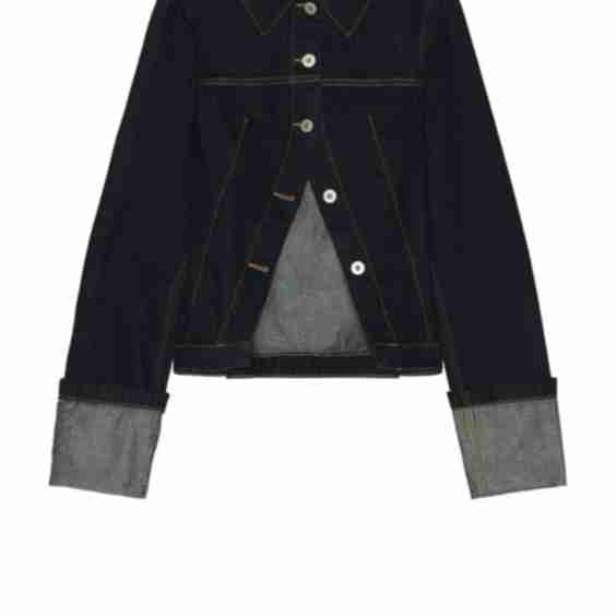 Cinch Back Trucker Jacket
