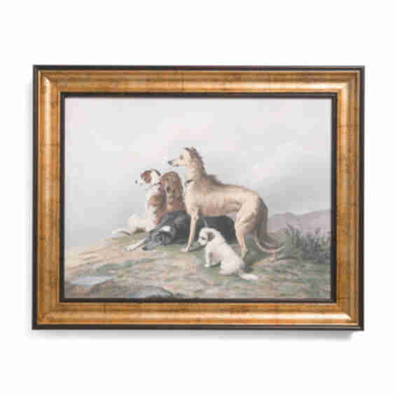 Dogs Looking into the Distance Wall Art
