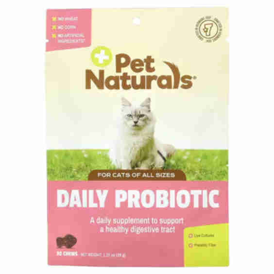 Daily Probiotic For Cats