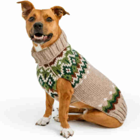 Raggwool Fairisle Dog & Cat Sweater