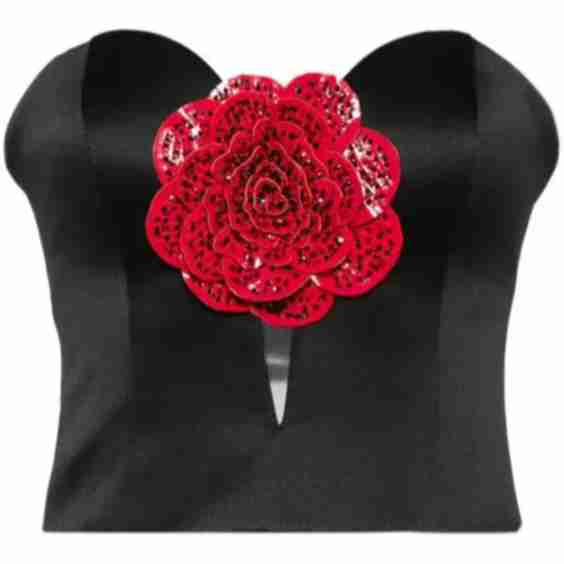 Floral-Appliqué Bustier Top