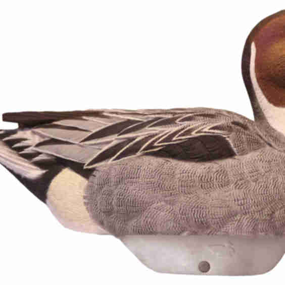 HydroFoam Pintail Duck Decoys 6 Pack