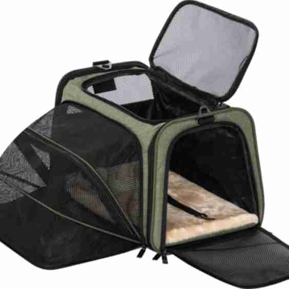 Expandable Airline-Approved Soft-Sided Dog & Cat Carrier
