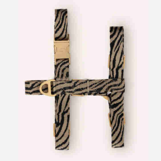 Zebra Harness
