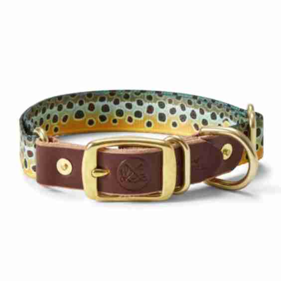 Adjustable Collar