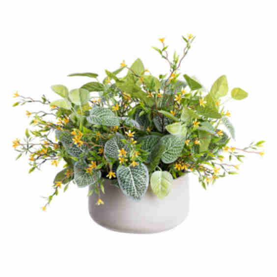 Outdoor Plant and Flower Centerpiece 12 x 14”