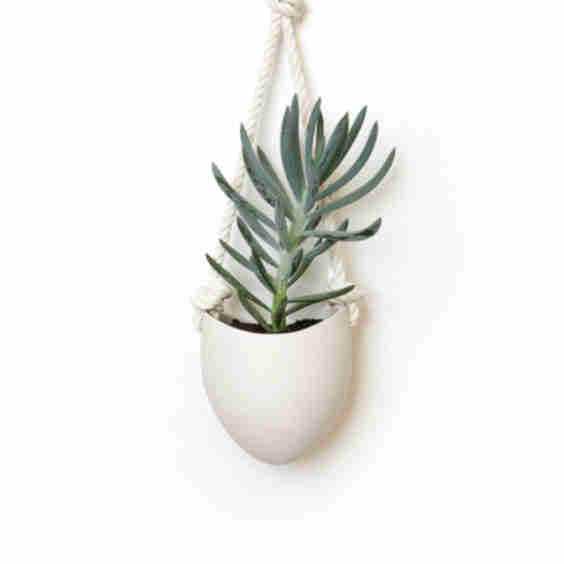 Spora Hanging Planter & Maple Hook Set