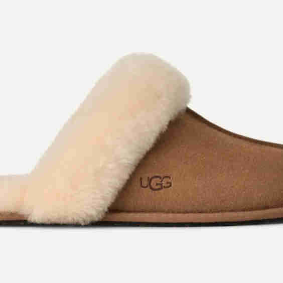 Scuffette II Suede Mule