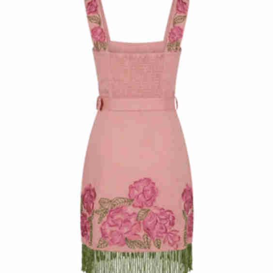 Sarah Bird Mini Dress