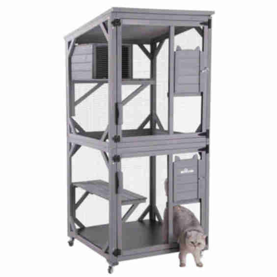 Outdoor Cat Catio