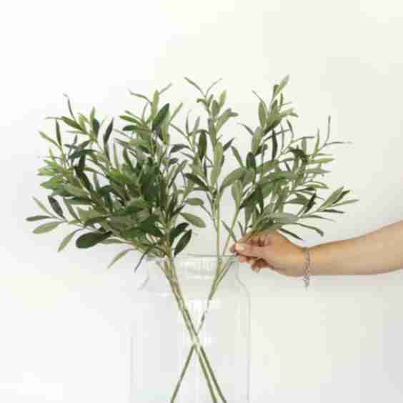 Faux Olive Branch