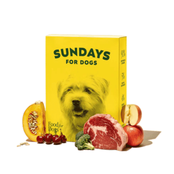 Air-Dried Dog Food Beef