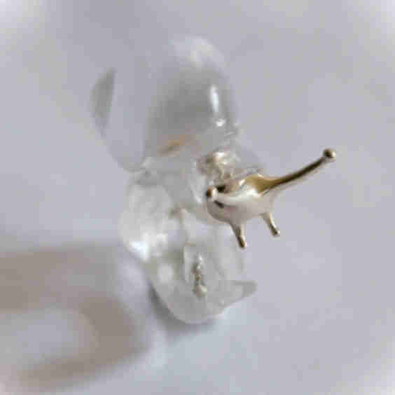 Silver Spine Snail Ring