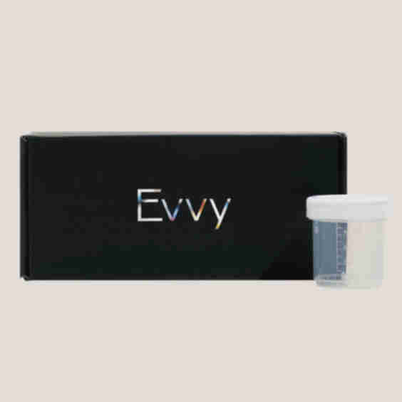 Evvy Uti + Test