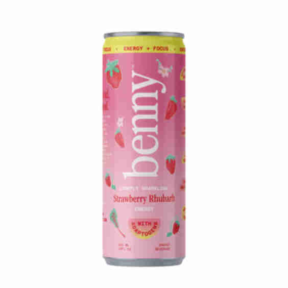 Strawberry Rhubab 12x 355ml