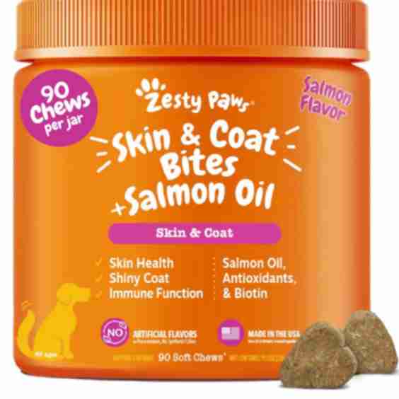 Skin & Coat Bites + Salmon Oil Soft Chews for Dogs