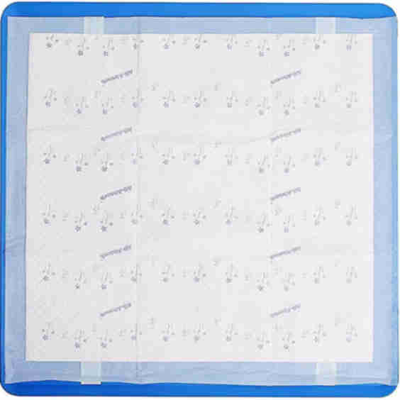 Silicone Training Pad