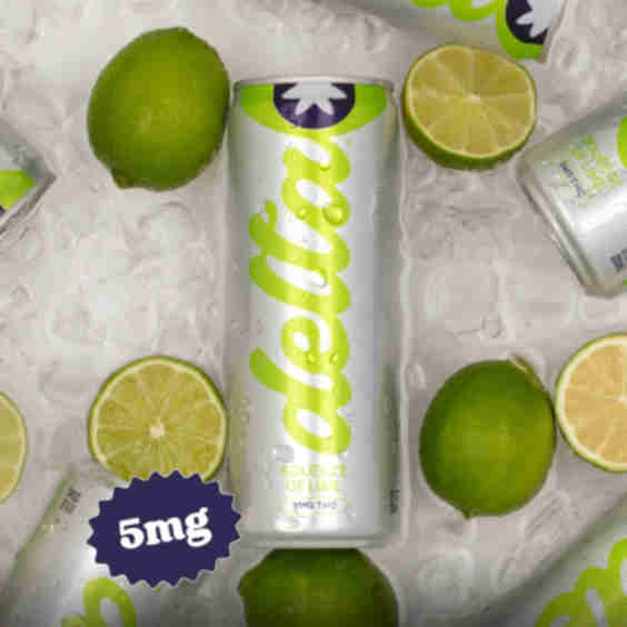 Squeeze Of Lime 5 Mg Thc Seltzer