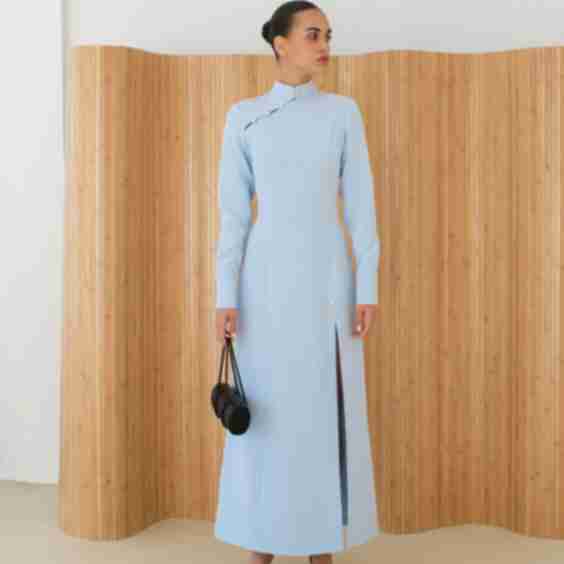 Dress with Sleeves