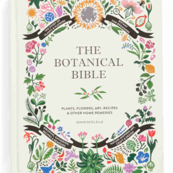 Botanical Bible Plants Flowers Art Recipes Other Home Remedies Book