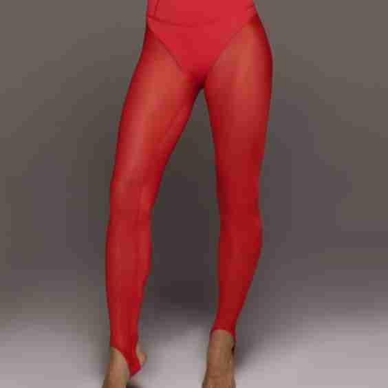 Ambient Stirrup Legging