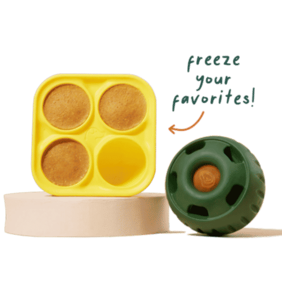Pupsicle Treat Tray, X-Large