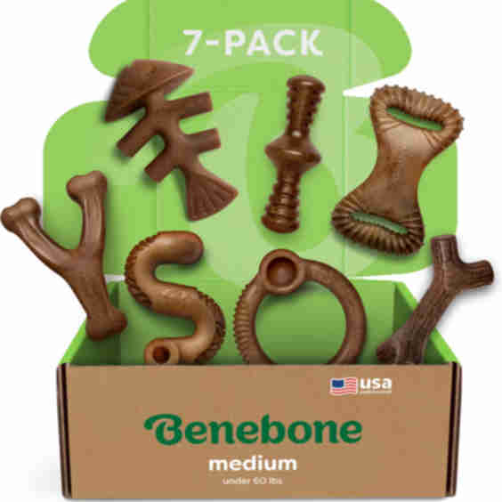 Chew Dog Toy - 7 Pack