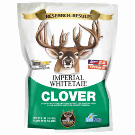Imperial Whitetail Clover Wild Game Seed 2 lbs