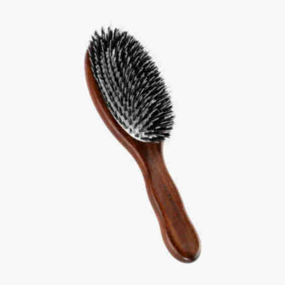 Classic Oval Brush 